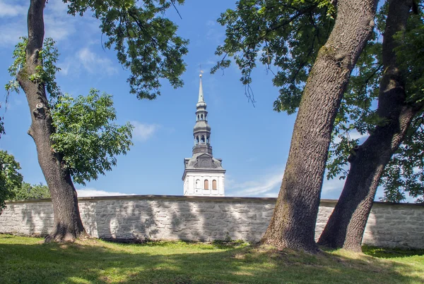 Tallin stadsbilden och st. nicholas kyrka — Stockfoto
