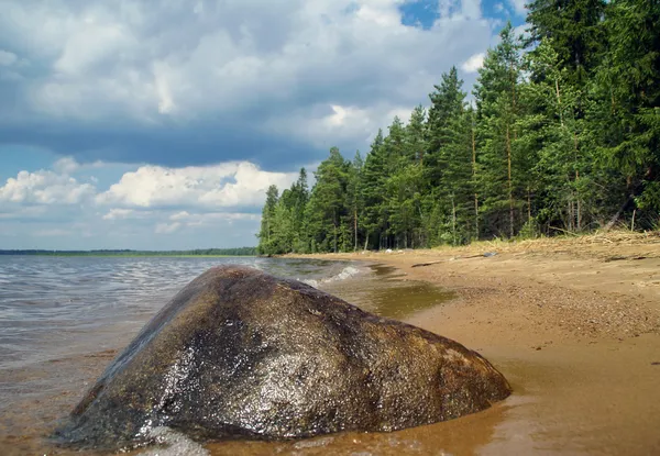 Vilda skogstjärn — Stockfoto