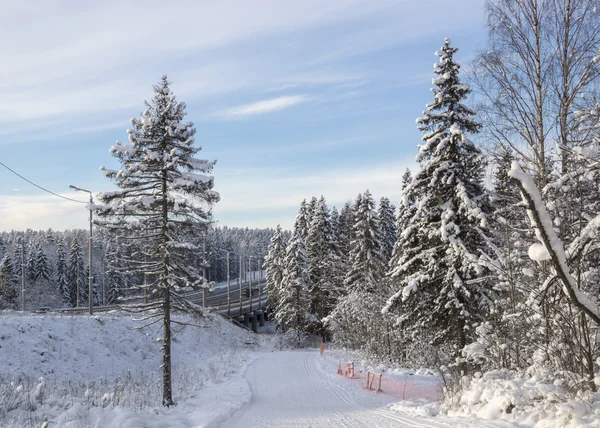 Road bridge in winter forest — Stock Photo, Image