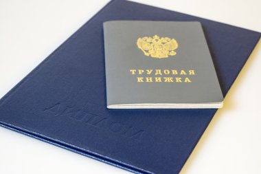 Diploma, yüksek eğitim ve iş geçmişi