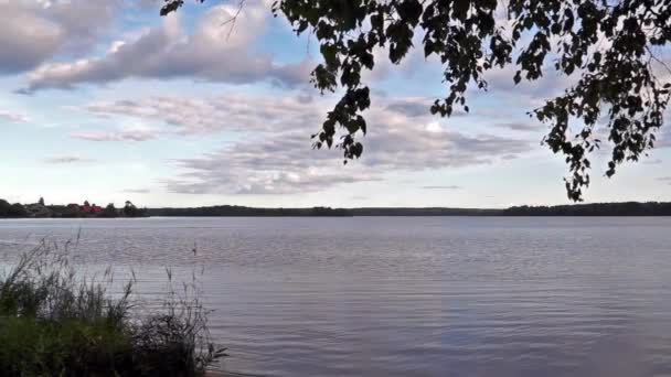 Lago salvaje del norte en verano — Vídeo de stock