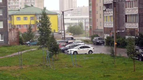 도시에 내리는 폭우와 바람 — 비디오