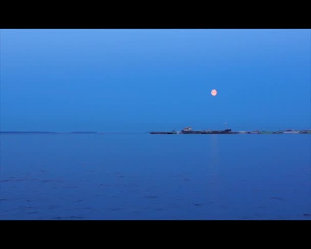 Night summer lake and moon — Stock Video