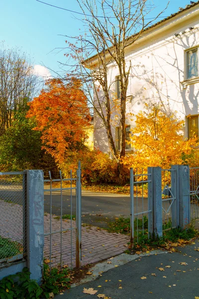 Ворота Двор Старом Доме Деревьями Осенней Листвы — стоковое фото