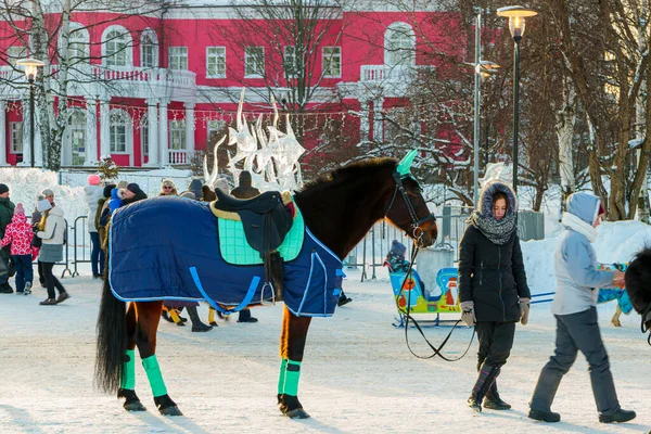 Ragazza Affitta Suo Cavallo Sulla Strada Invernale Città Durante Vacanze — Foto Stock