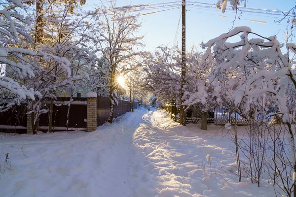 Rustige Zonnige Ijzige Winterdag Een Buitenwijk Bezaaid Met Witte Sneeuw — Stockfoto