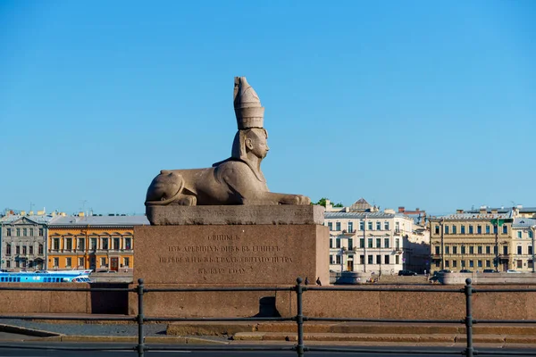Estátua Esfinge Egípcia Antiga Centro Cidade São Petersburgo — Fotografia de Stock