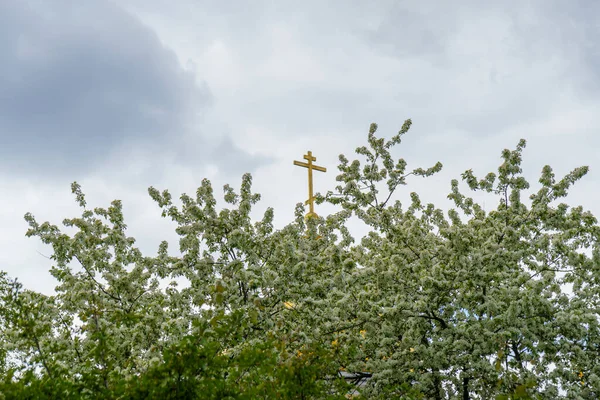 Golden Orthodox Cross Temple Cloudy Sky Branches Blossoming Tree — Stock Photo, Image