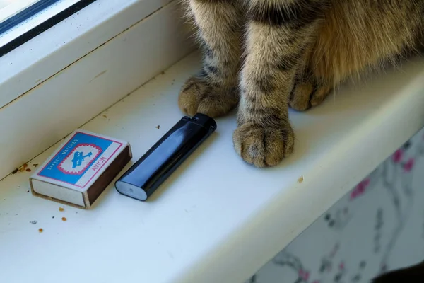 Las Patas Del Gato Alféizar Ventana Encendedor Caja Cerillas —  Fotos de Stock