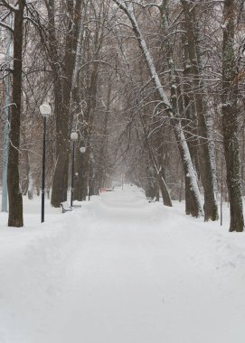 Karla kaplı şehir parkında, kış günü kar yığınının içinde yaya yok tabelası var.