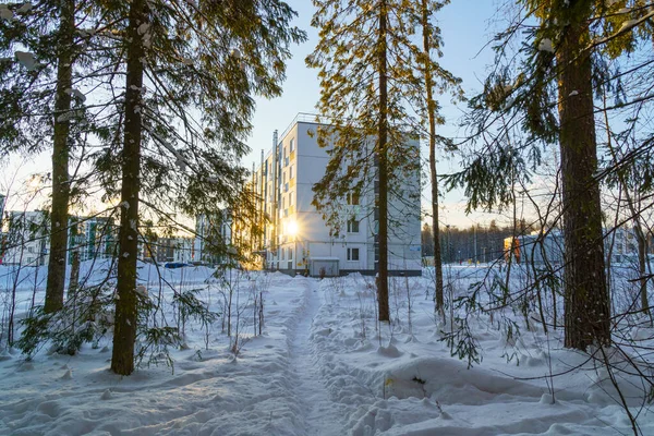 Nový Bytový Dům Okraji Borového Lesa Zimě — Stock fotografie