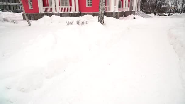 Sida Och Veranda Ingången Till Lyxiga Rosa Palats Vintern Luta — Stockvideo