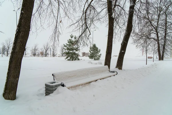 Bench White Snow Covered City Park Lake — Stock Photo, Image