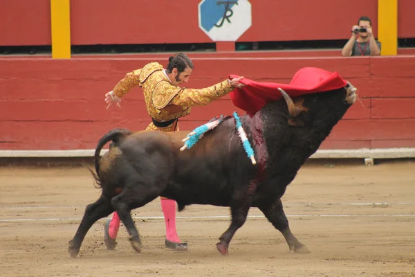 Torrero Acho 2012 — Stockfoto