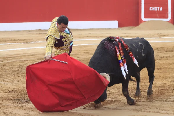 Matadort, amikor - Bulfighter - Toro - bika — Stock Fotó