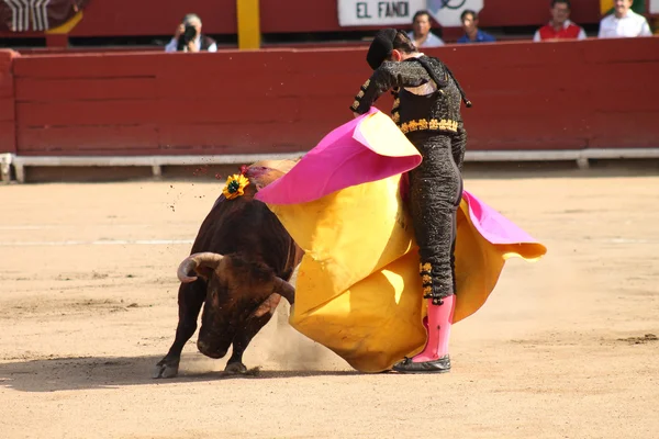 La di torero en Plaza de Acho 2012 — Foto Stock