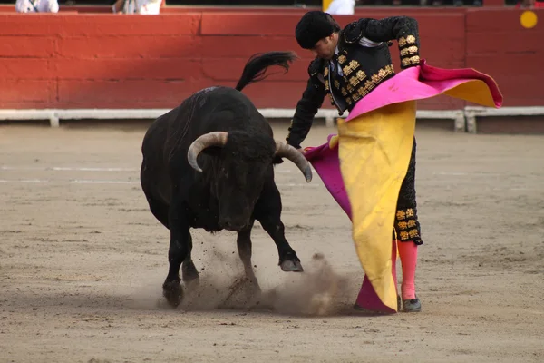 La de torero en Plaza de Acho 2012 — Foto de Stock