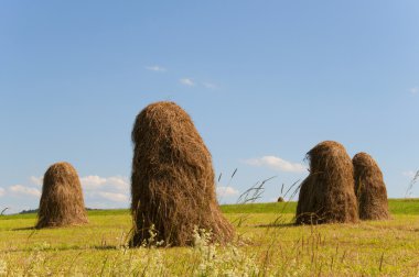 haystacks güneşli çayır üzerinde