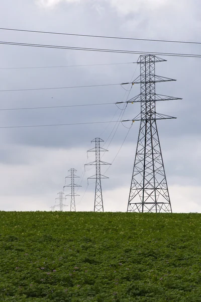 High voltage pylons on the meadow — Stock Photo, Image