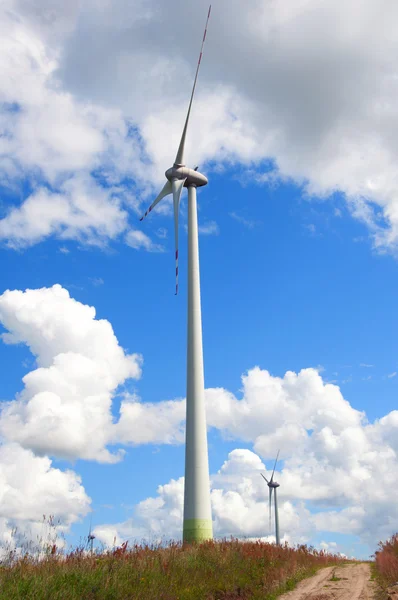 Turbina eólica en el campo de maíz —  Fotos de Stock