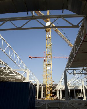 İnşaat alanında turna.