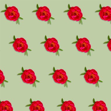 Çiçek deseni. Pembe fuşya çiçekli baş, yeşil arkaplan