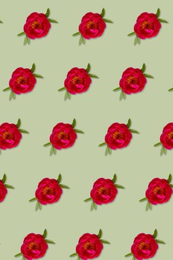 Çiçek deseni. Pembe fuşya çiçekli baş, yeşil arkaplan