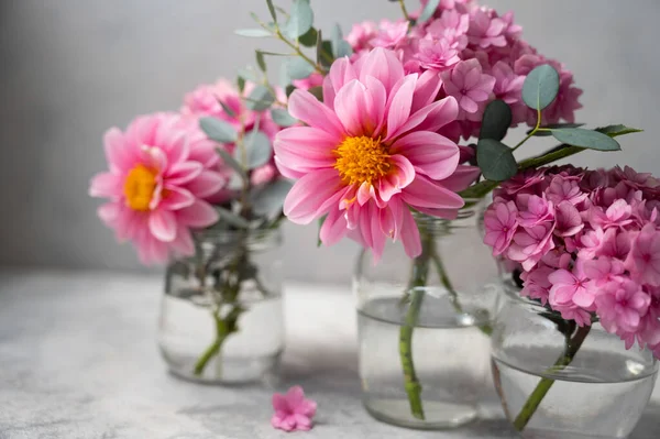 Still life pink flowers scene. Pink hydrangea flowers and dahlias in glass vase on neutral background soft, selective focus