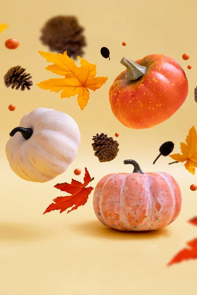 Calabazas Hojas Otoñales Sobre Fondo Cálido Levitación Otoño Concepto Halloween — Foto de Stock