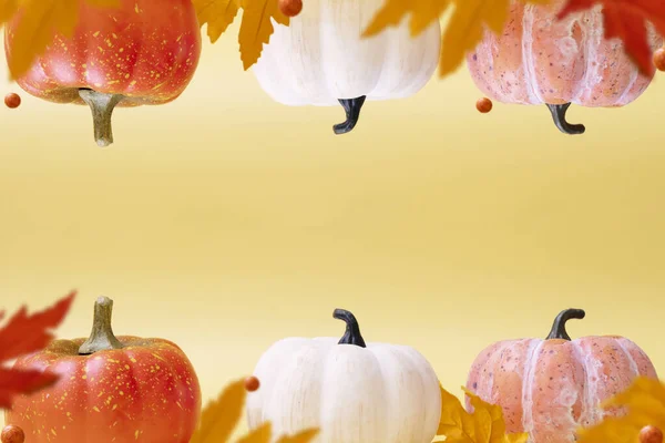 Abóboras Outono Folhas Fundo Quente Outono Levitação Conceito Halloween Espaço — Fotografia de Stock