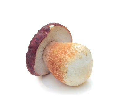 Beyaz arka plan üzerinde izole cep