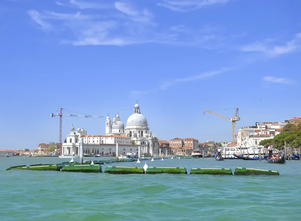 Widok na santa maria della salute kościoła na Canale Grande w Wenecji — Zdjęcie stockowe