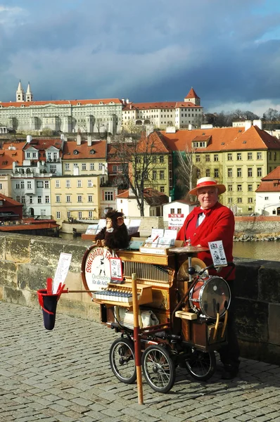 Karlsbrücke in Prag, Tschechien. — Stockfoto