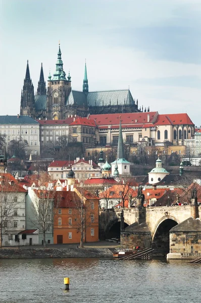Praga. Zobacz na st. vitus cathedral — Zdjęcie stockowe