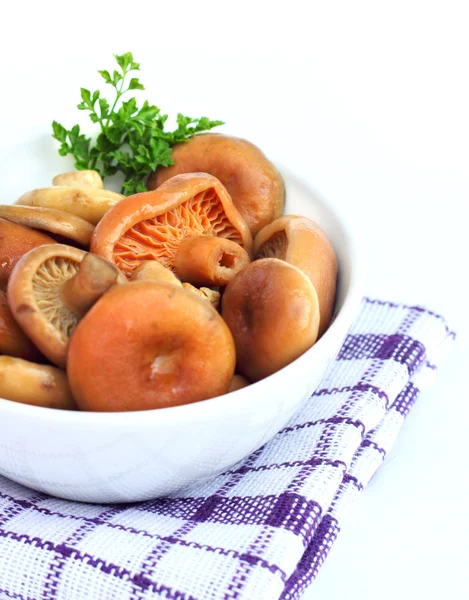 Marinated saffron milk cap mushrooms — Stock Photo, Image