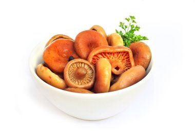 Marinated saffron milk cap mushrooms clipart