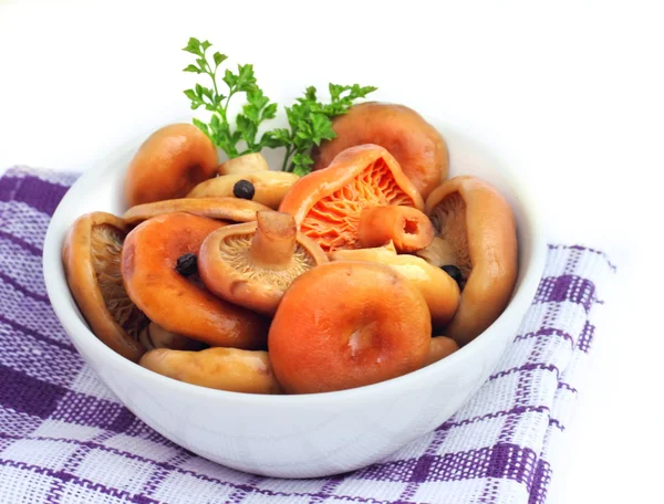 Marinated saffron milk cap mushrooms — Stock Photo, Image