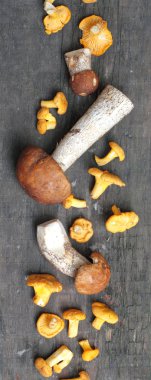 ahşap zemin üzerinde yabani mantar