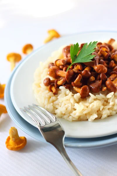 Risotto mit Pfifferlingen — Stockfoto