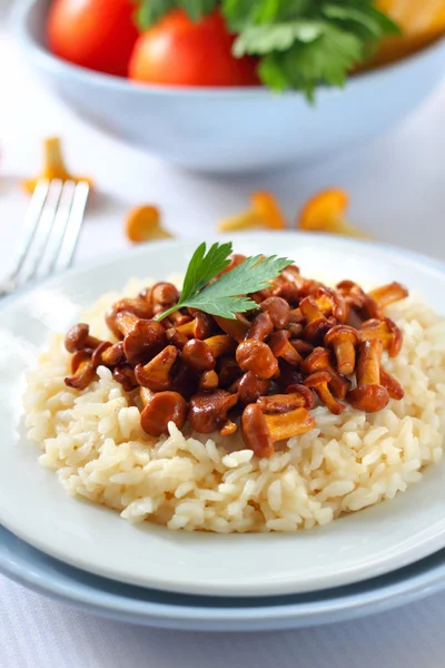 Risotto with chanterelles — Stock Photo, Image