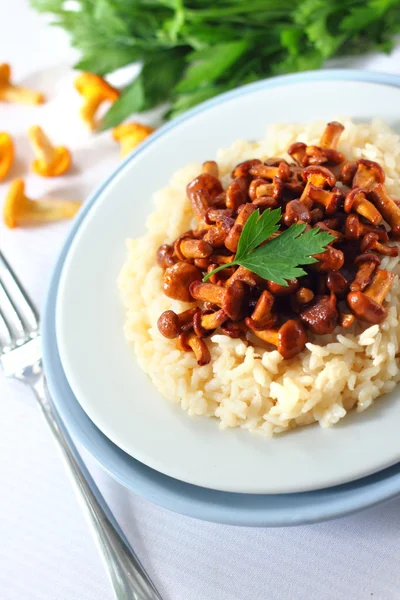 Risotto mit Pfifferlingen — Stockfoto