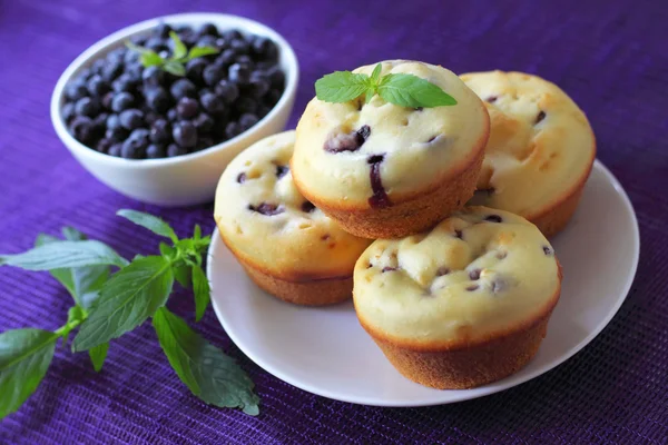 Muffin con mirtilli — Foto Stock