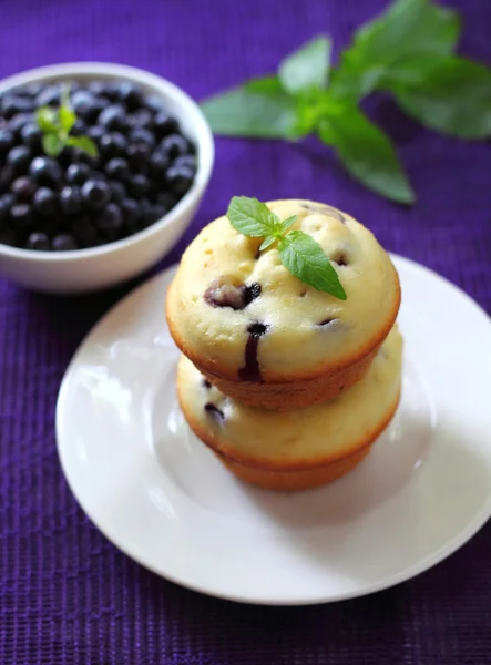 Muffin con mirtilli — Foto Stock