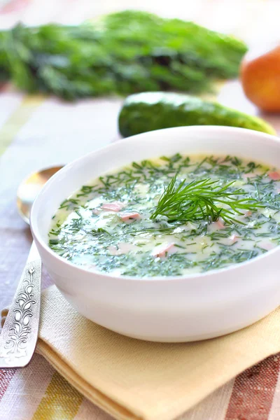 Okroshka - russische kalte Suppe — Stockfoto