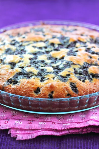 Torta di mirtilli — Foto Stock