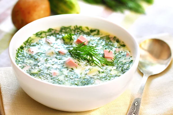 Okroshka - Russian Cold Soup — Stockfoto