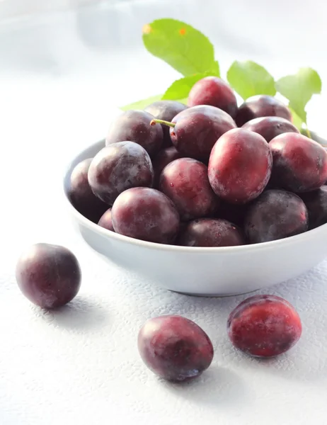 Plums in a bowl — Stock Photo, Image