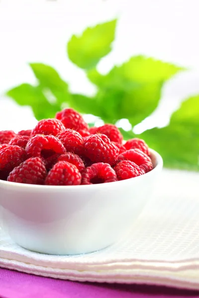 Frische reife Himbeeren in einer Schüssel — Stockfoto