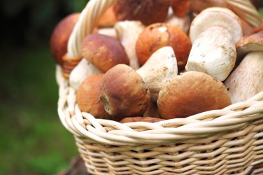 ceps sepeti