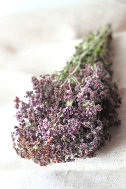 kurutulmuş origanum
